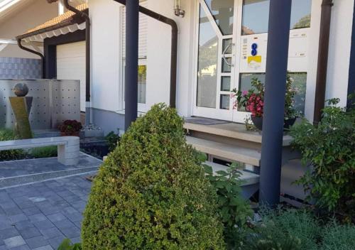 Galeriebild der Unterkunft Ferienwohnung Weiß Weinberg in Wachenheim an der Weinstraße