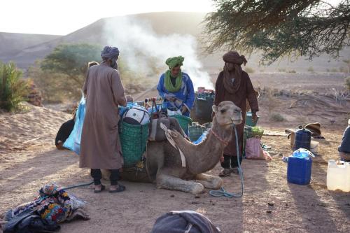 a group of people standing next to a camel at Bivouac Les Nomades & Foum zguid to chegaga tours in Foum Zguid