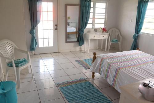 a bedroom with a bed and a desk and a mirror at Villa Benito in Nevis