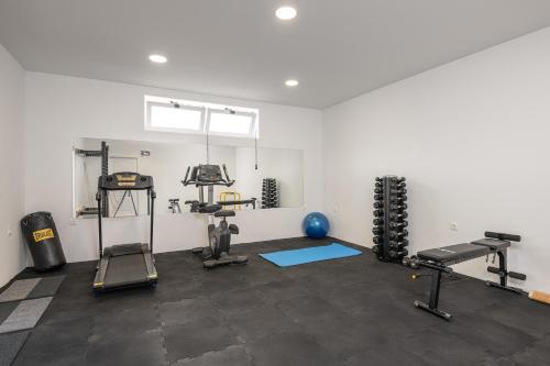 a room with a gym with weights and machines at Villa Voinic 2 in Cavtat
