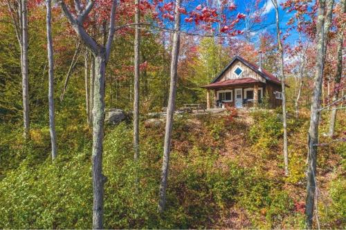 a small house on a hill in the woods at paradis sauvage geronimo in St-Etienne de Bolton