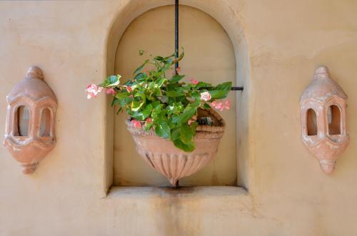 a plant in a pot hanging from a wall at Villa San Michele (Official) in Port Douglas