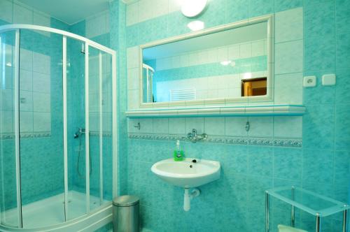 a bathroom with a sink and a shower and a mirror at Privat Horec in Malý Slavkov