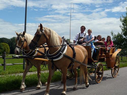 un grupo de personas montando en un carruaje tirado por caballos en Fürstnerhof Chiemsee, en Rimsting