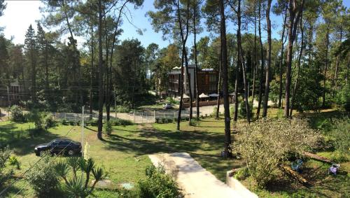 a garden with trees and a house in the background at Private Cottage at the Black sea in Shekvetili