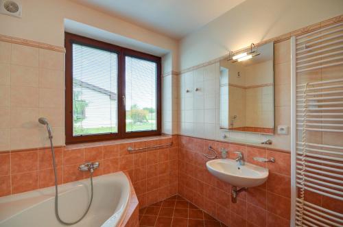 a bathroom with a tub and a sink and a shower at Amenity Hotel & Resort Česká Kanada in Nová Bystřice