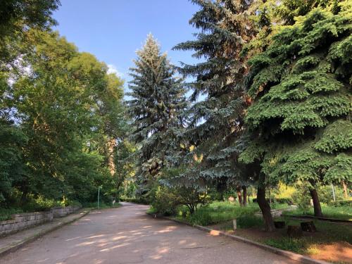 a road in a park with trees on both sides at Vanadzor Armenia Hotel in Vanadzor