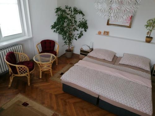 1 dormitorio con 1 cama y 2 sillas en Penzion Flóra en Žatec