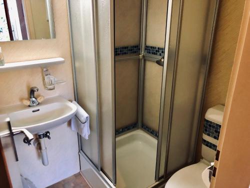 a bathroom with a shower and a sink at Le Bras d'Or in Mathod