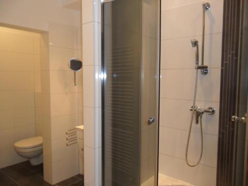 a bathroom with a shower and a toilet at Kollmann Rooms and Apartments in Ljubljana