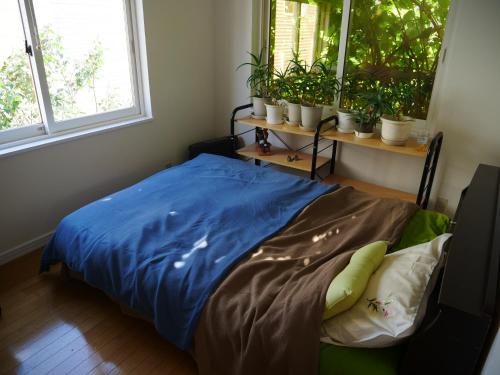 札幌市にある民泊もんのベッドルーム1室(青いシーツと鉢植えの植物が備わるベッド1台付)