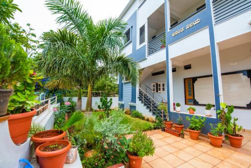 a building with plants in front of it at Arjun Homestay in Hampi