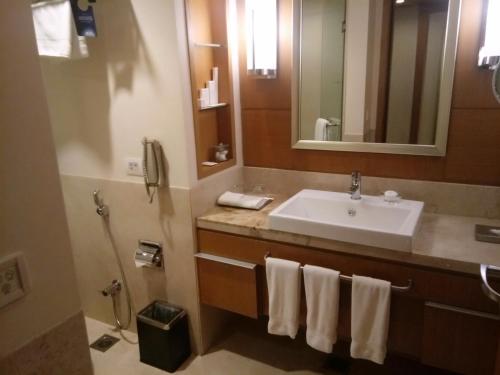 a bathroom with a sink and a mirror at Radisson Blu Hotel, Nagpur in Nagpur