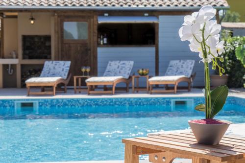 a flower in a pot sitting on a table next to a pool at Villa Histria Relax in Svetvinčenat