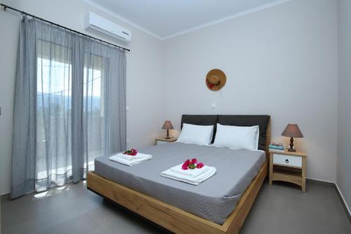 Aeraki apartment