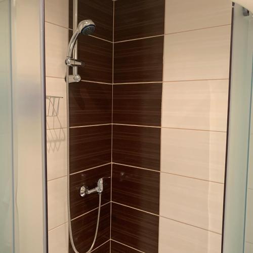 a shower with a glass door in a bathroom at Apartman Skupovka in Most