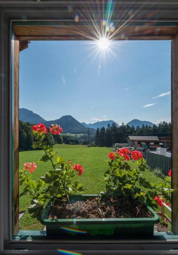 a window with a view of a field of flowers at Ferienhaus Altaussee - Your Austrian Home in Altaussee