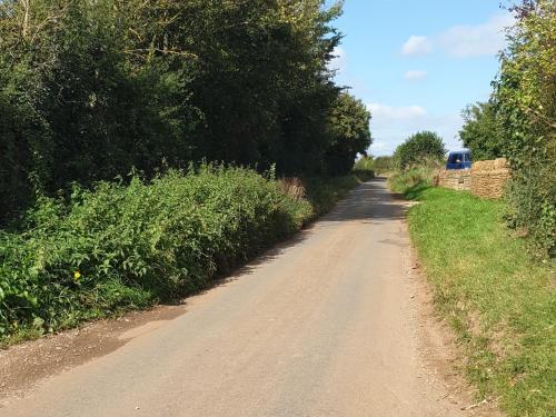 a dirt road with trees on the side of it at The Nest at Bramble Cottage Lacock in Lacock