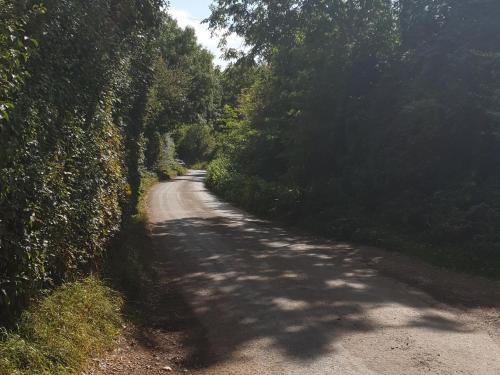 a dirt road with trees on either side of it at The Nest at Bramble Cottage Lacock in Lacock