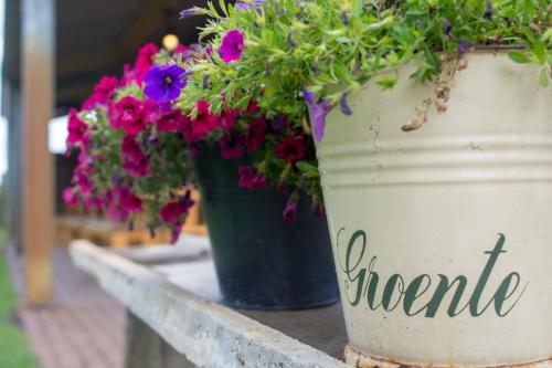 two large buckets of flowers sitting on a ledge at Vakantiehuisjes Op De Horst in Groesbeek