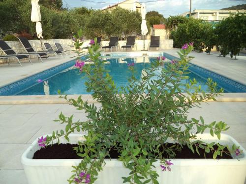 Apartment Mario - with pool – Photos 2