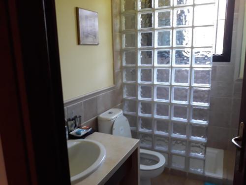uma casa de banho com um lavatório, um WC e uma janela. em RINCON DE SARA em Ayamonte