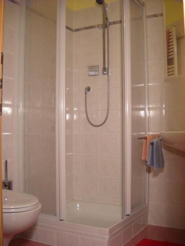 a bathroom with a shower and a toilet at Appartments Am Wiesenrand in Nova Ponente
