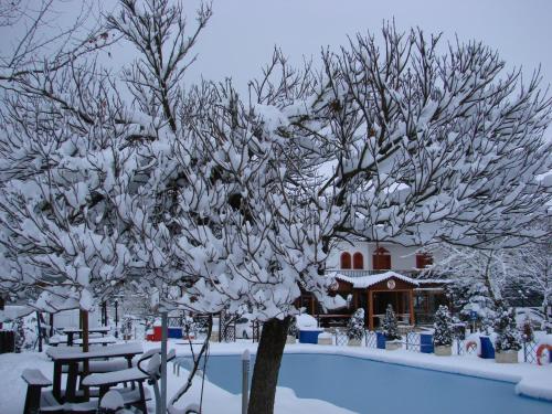 a tree covered in snow next to a pool at Krikonis Hotel in Ioannina
