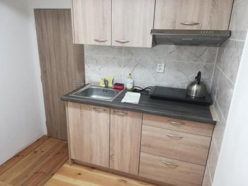 a kitchen with a sink and a counter top at Horská chata Plzeňka Pernink in Pernink