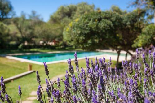 Πισίνα στο ή κοντά στο Oliver Moragues Grandhouse & Vineyard