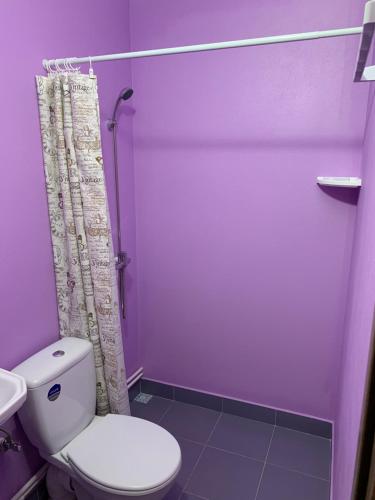 a purple bathroom with a toilet and a shower at Pensiunea Casa Maria in Cluj-Napoca