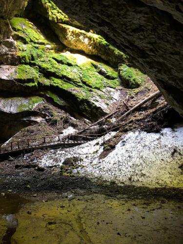 a cave with green moss on the rocks at Cabana Poiana Dealul Frumos in Gîrda de Sus