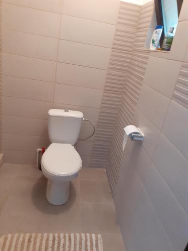 a bathroom with a white toilet in a room at Camere Centrale in Piteşti