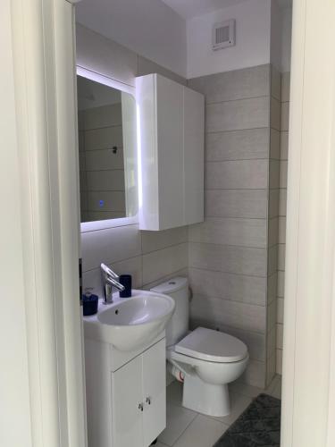 a bathroom with a toilet and a sink and a mirror at Luxury Westpark 2 Presidentialsuite with Lake View W4 in Bucharest
