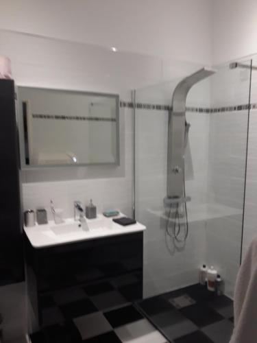 a bathroom with a sink and a shower at mas saint genieis in Canet