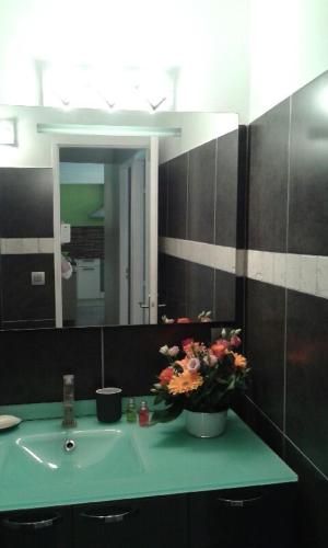 une salle de bain avec un lavabo avec un vase de fleurs dessus dans l'établissement SETE maison de ville avec jardin clos, à Sète