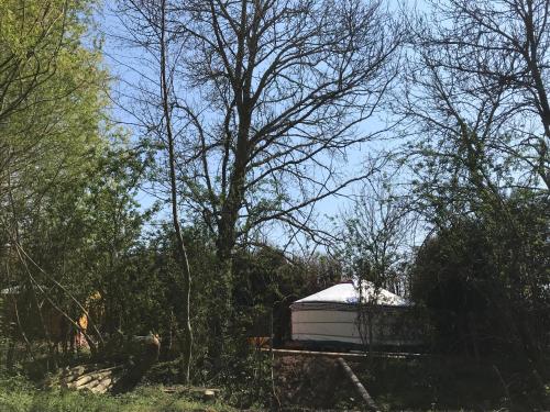 a small white boat in the middle of trees at yourte Coeur de Combray in Ernes