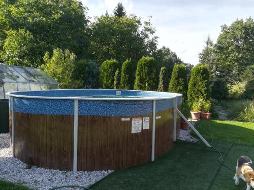a dog is standing next to a trampoline at Private Světluška in Poběžovice