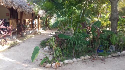Κήπος έξω από το Zamunda Garden View