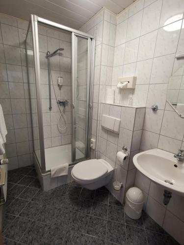 a bathroom with a shower and a toilet and a sink at Hotel Römerhof in Straubing