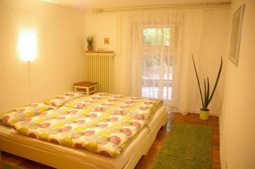 1 dormitorio con cama y ventana en Ferienwohnung Fesenfeld Bremen Steintorviertel, en Bremen