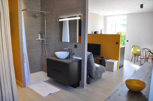 a bathroom with a shower and a sink with a sink at Le 505 in Saint-Jean-dÊ¼Avelanne