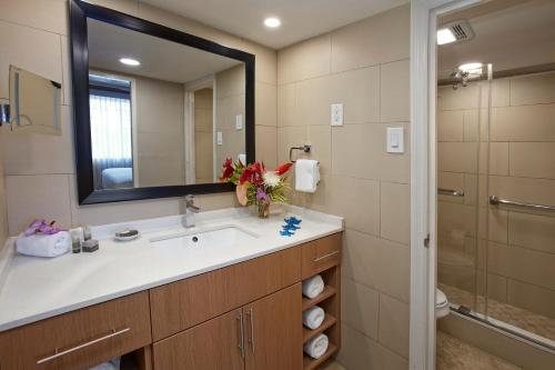 a bathroom with a sink, mirror, and toilet at Divi Southwinds Beach Resort in Christ Church