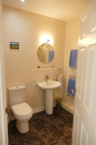 a bathroom with a toilet and a sink and a mirror at The Willows in Wincanton