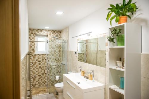 W łazience znajduje się prysznic, umywalka i toaleta. w obiekcie Apartma soline Seča w Portorožu