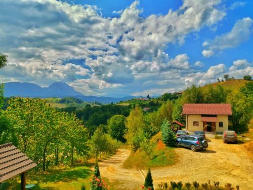 a view of a house and cars parked in a field at Cabana 7 Brazi in Poiana Mărului