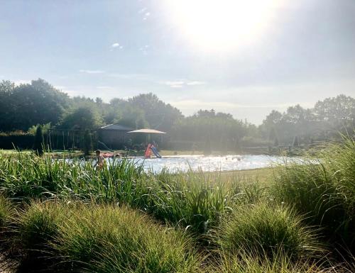 a beach with an umbrella and people in the water at Het Hilkensberg Park in Broekhuizen