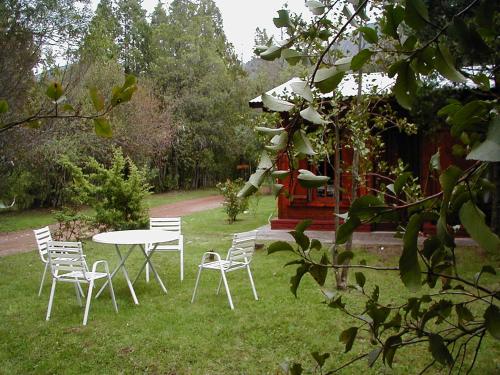 a group of chairs and a table in the grass at Cabañas Auquin Lemu in Lago Puelo