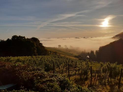 Un paisaje natural cerca de la casa vacacional