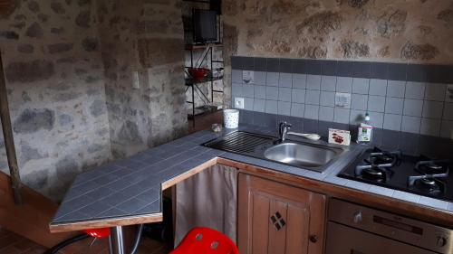 une cuisine avec un évier et un plan de travail dans l'établissement Demeure du Castel, à Les Châtelliers-Châteaumur